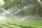 Baringhup Westlandscaping-water-management-and-drainage-17.jpg; ?>